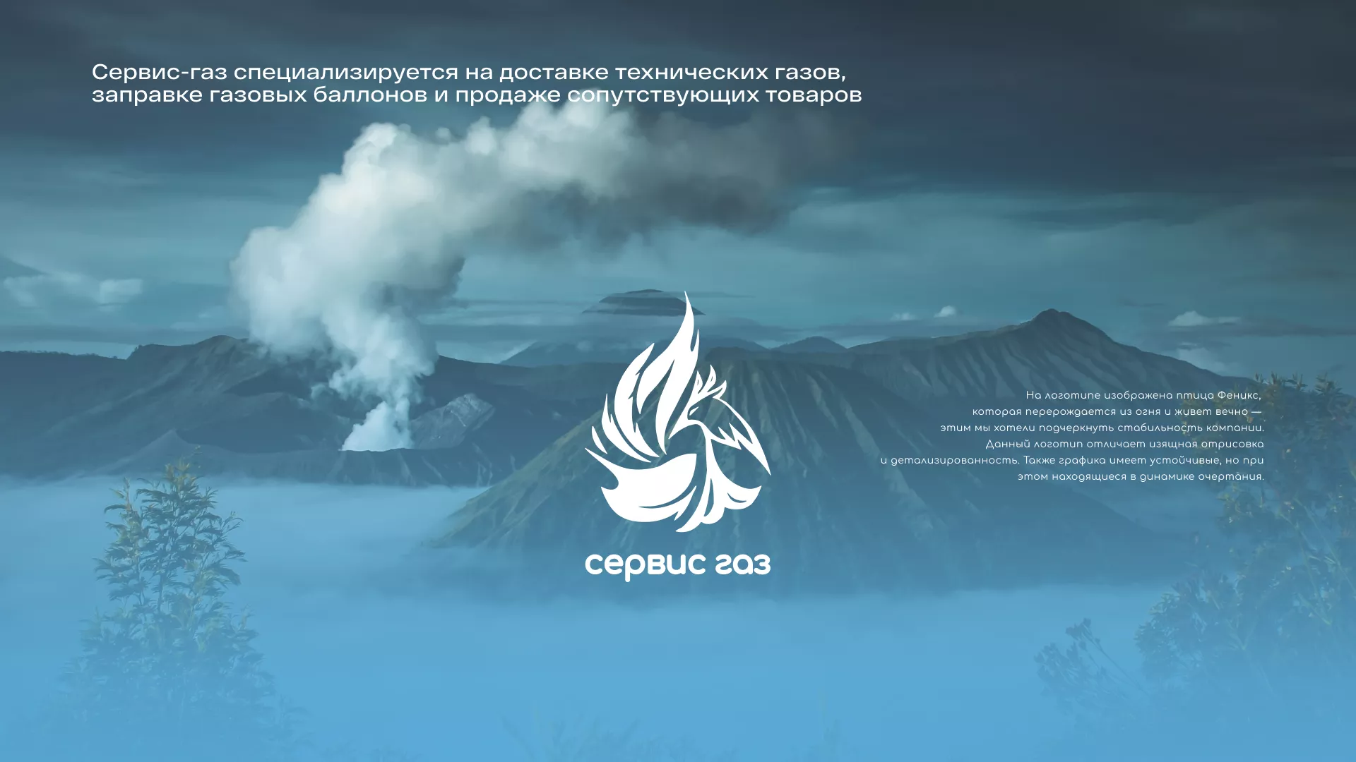 Создание сайта компании «Сервис газ» в Данкове
