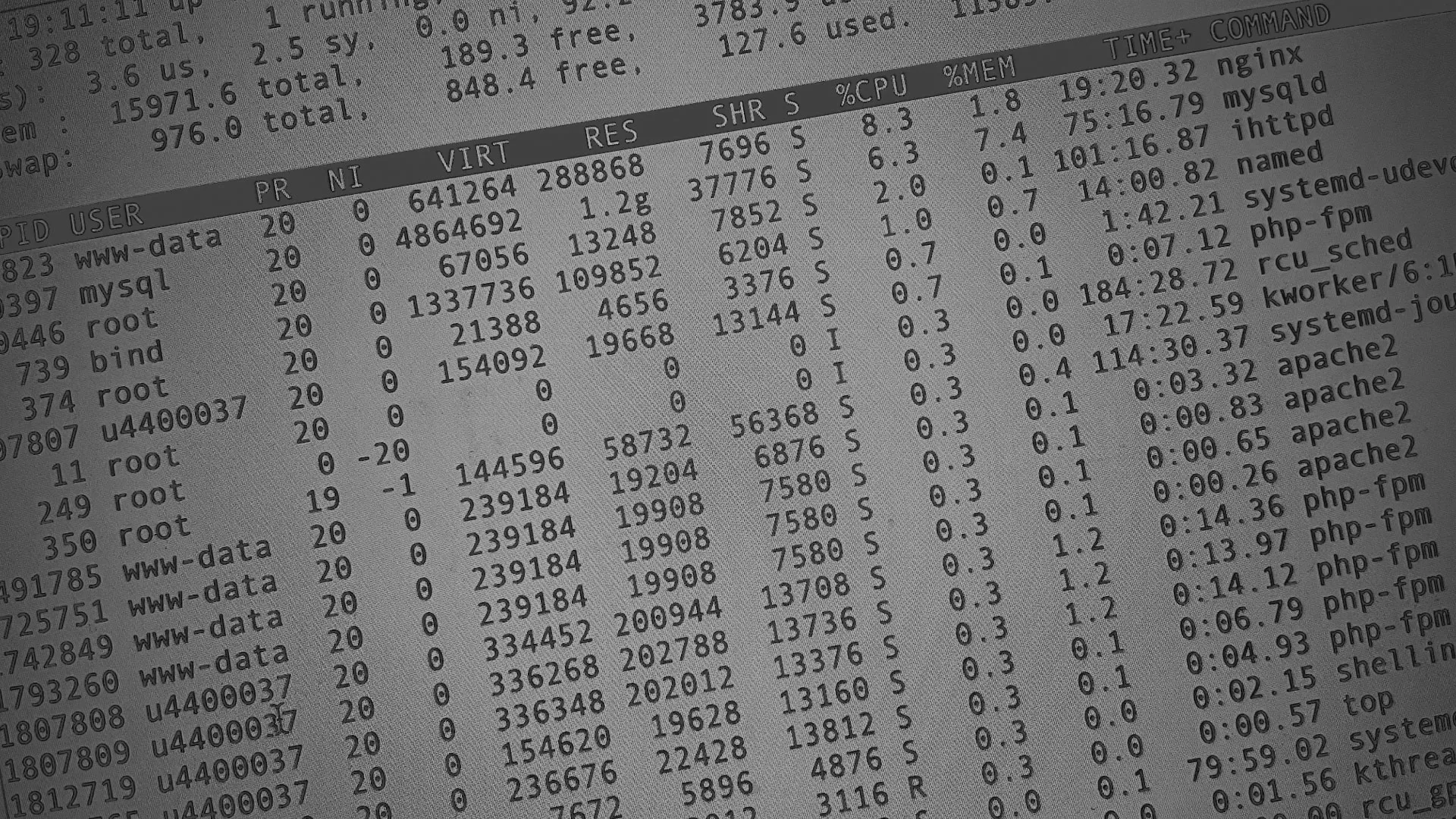 Настройка сервера в Данкове