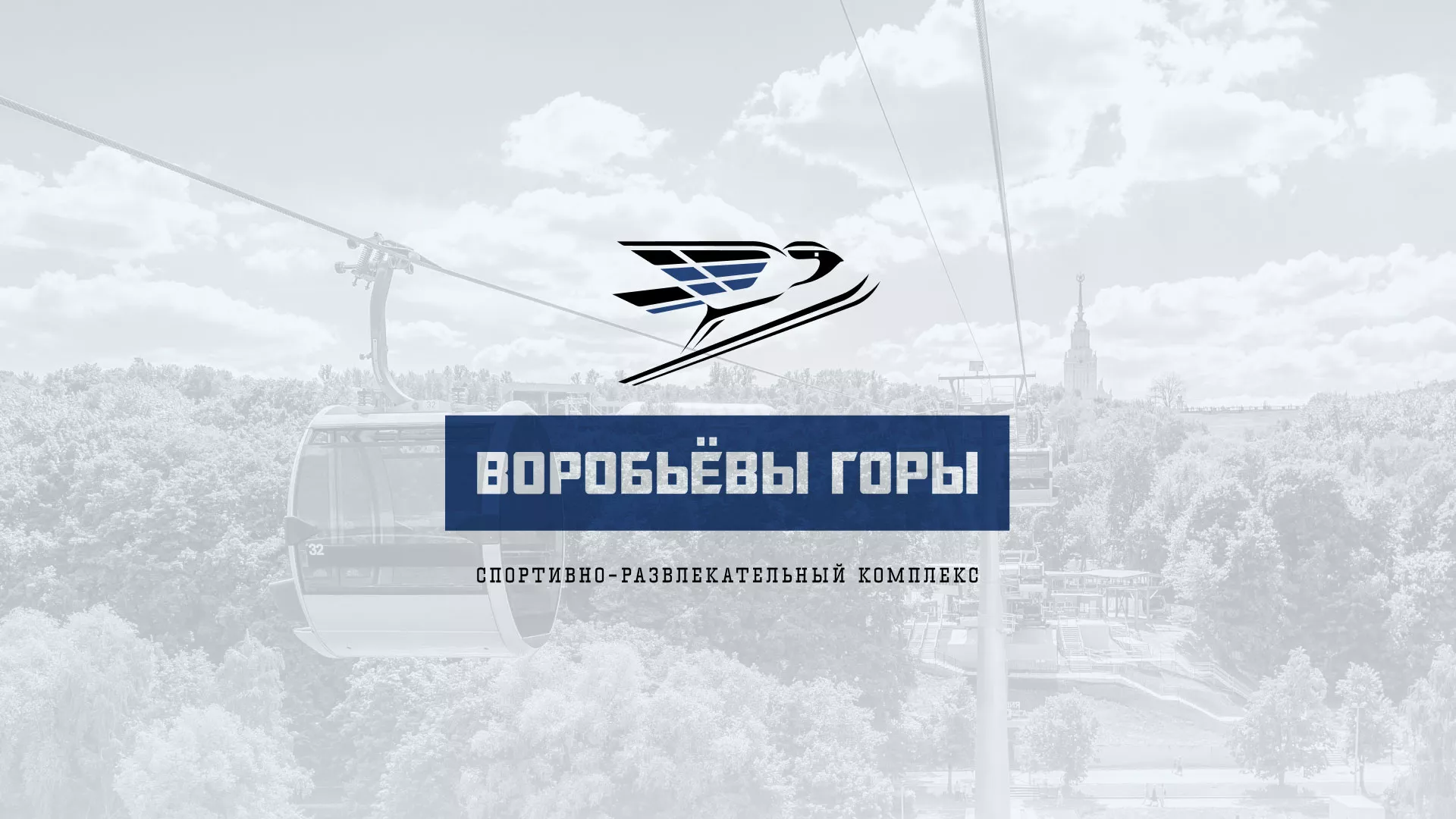Разработка сайта в Данкове для спортивно-развлекательного комплекса «Воробьёвы горы»