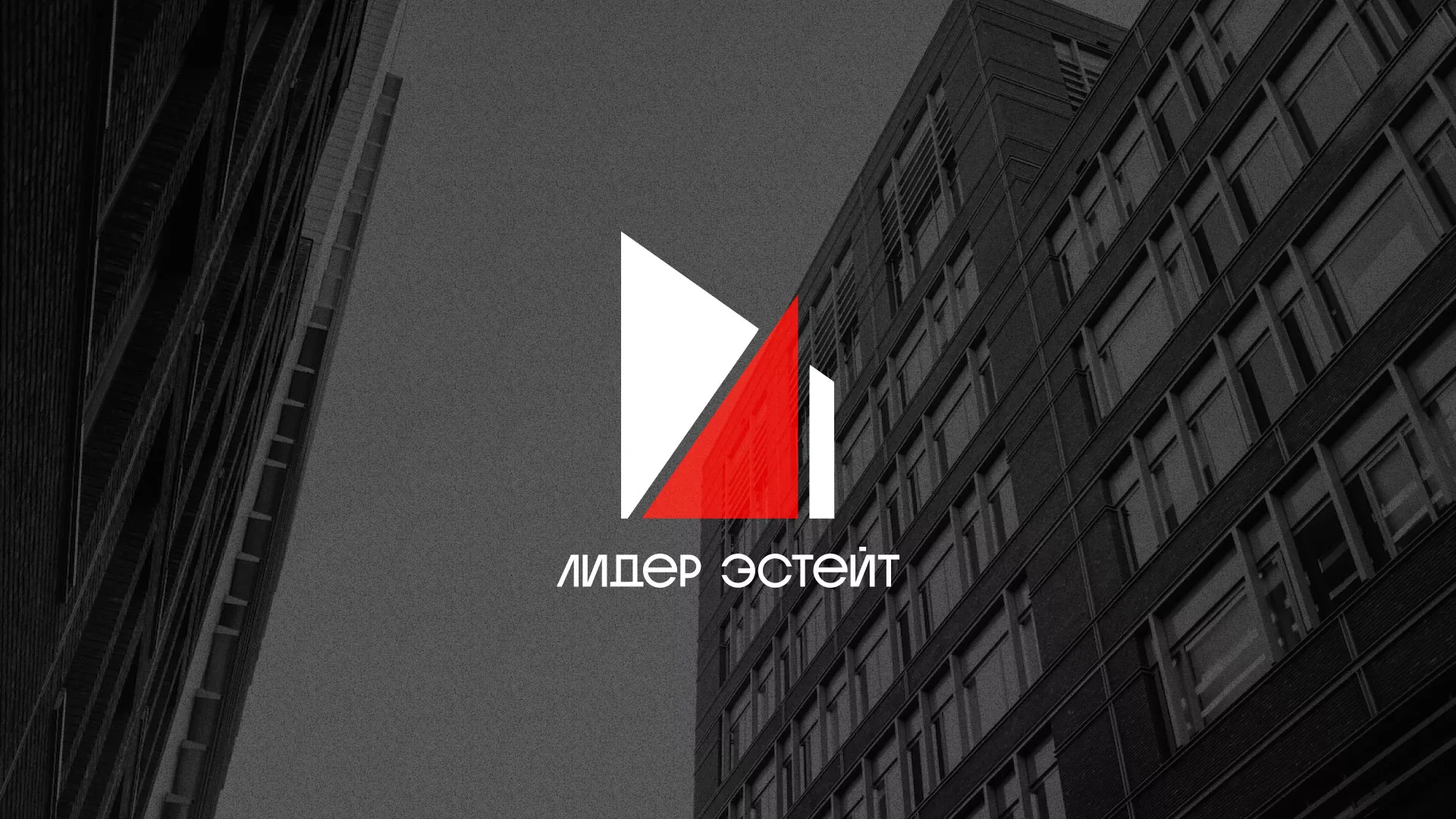 Сделали логотип для агентства недвижимости «Лидер Эстейт» в Данкове